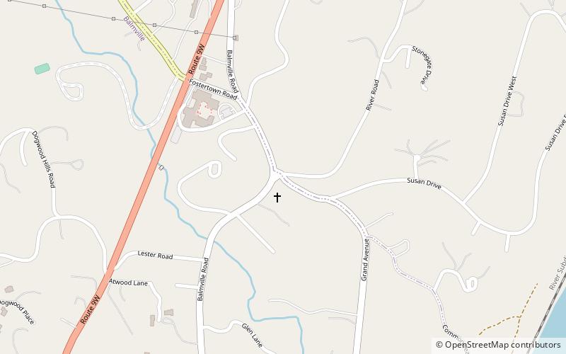 Balmville Tree location map