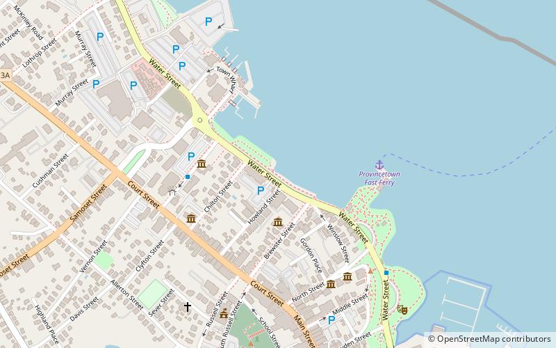 plymouth whale watch location map