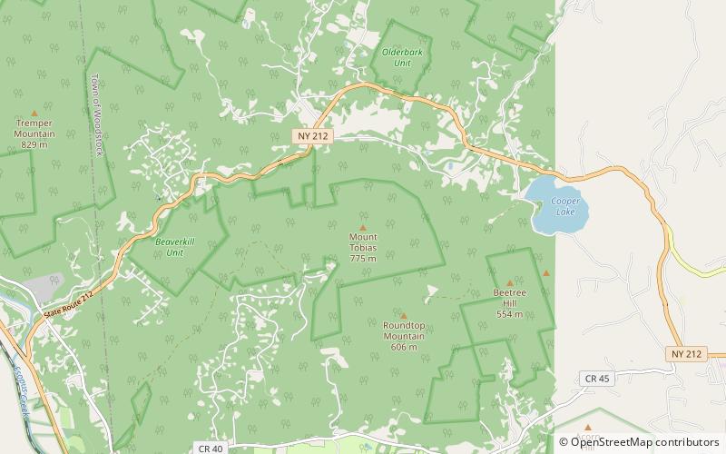 mount tobias catskill park location map