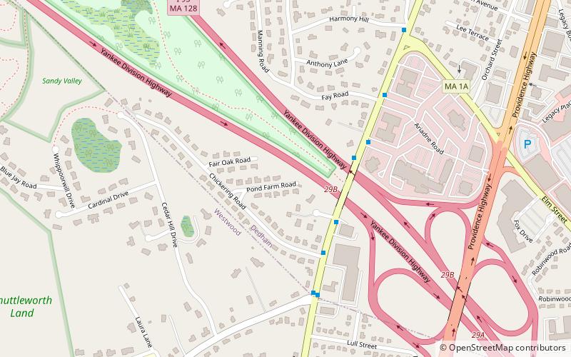 baby cemetery dedham location map