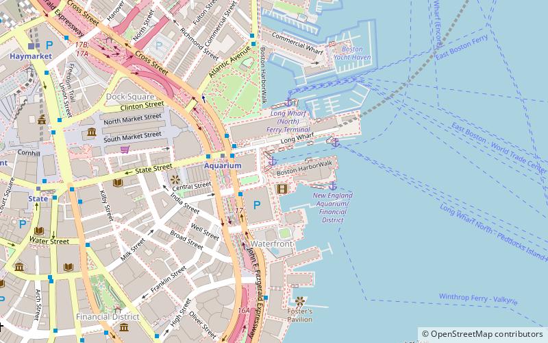 whale watching boston location map