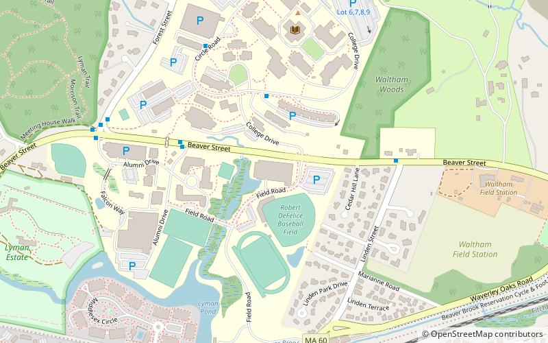 Bentley Arena location map