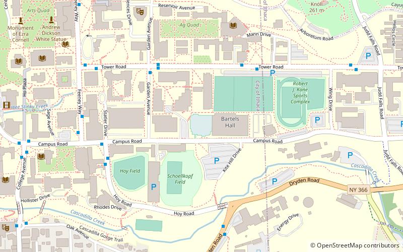Lynah Rink location map