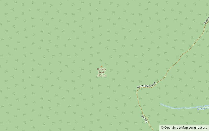 Brandy Peak location map