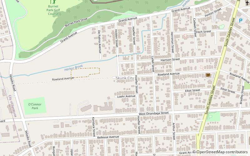 Skunk City location map