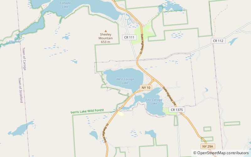 West Caroga Lake location map