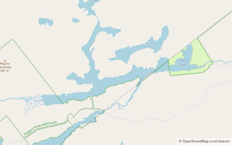 forked lake adirondack park location map