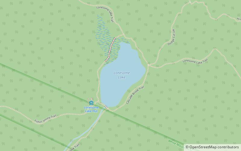 Lonesome Lake location map