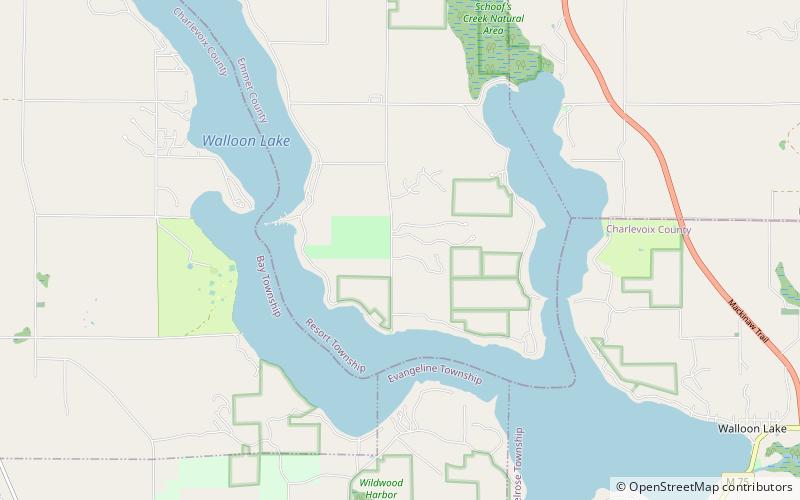 Walloon Lake location map