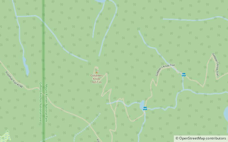 Gobbler's Knob Fire Lookout location map