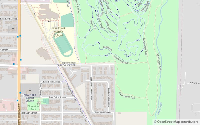 swan creek park tacoma location map