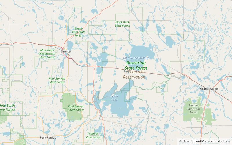 buena vista state forest foret nationale de chippewa location map