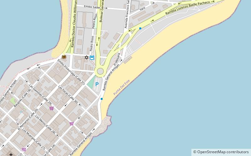 playa brava punta del este location map