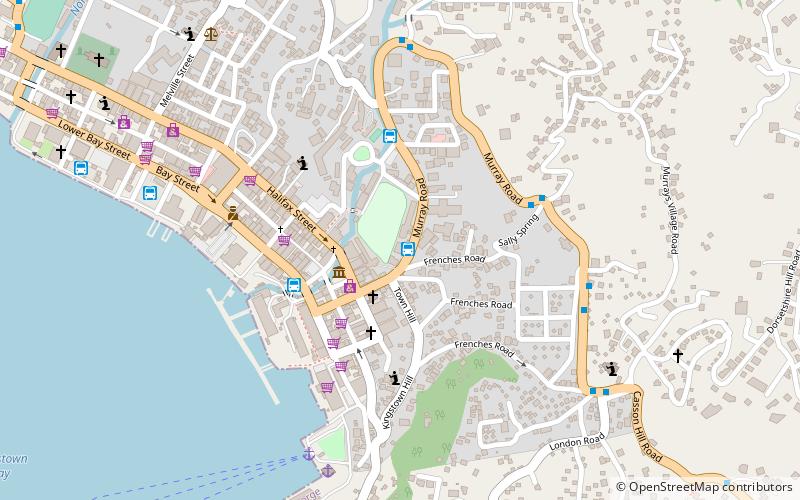 peace memorial kingstown location map