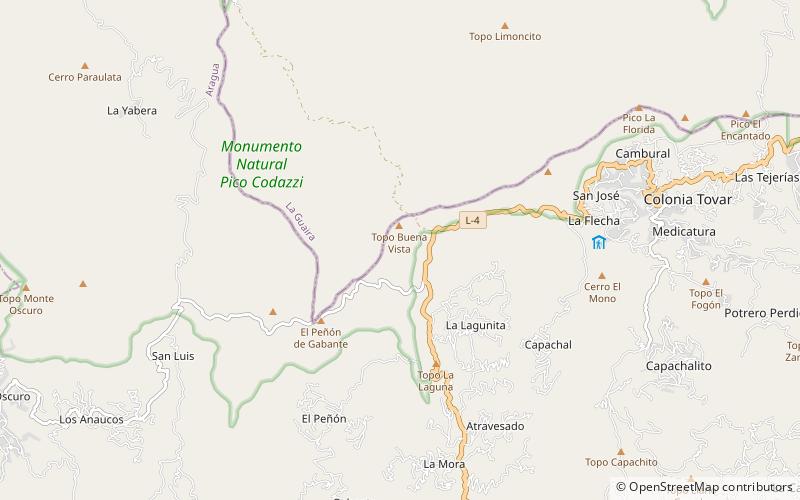 Pico Codazzi Natural Monument location map