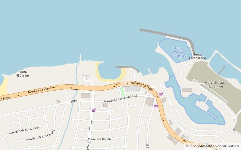 playa el yate caracas location map