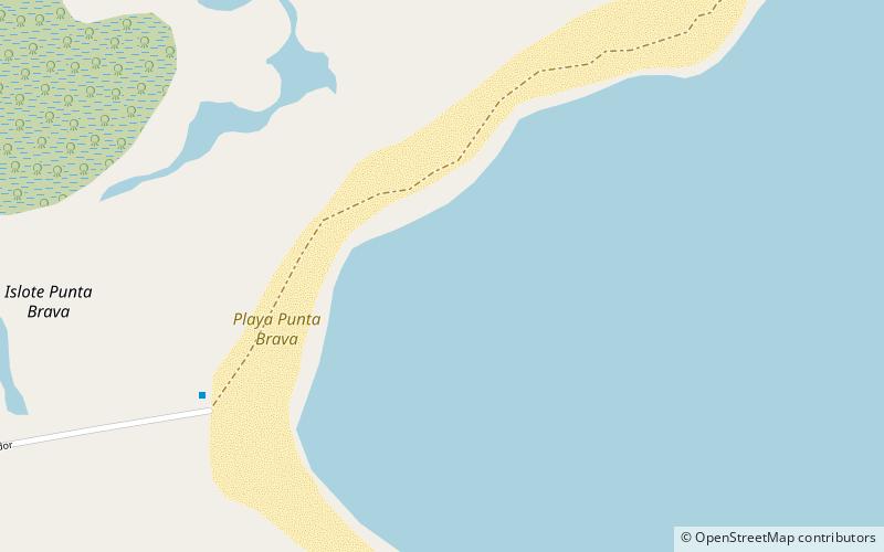 Playa Punta Brava location map