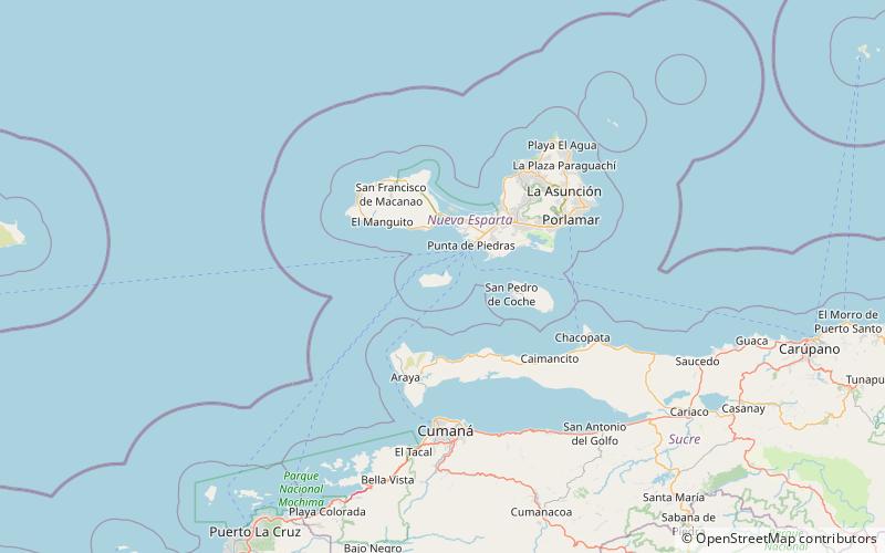 Nueva Cádiz location map