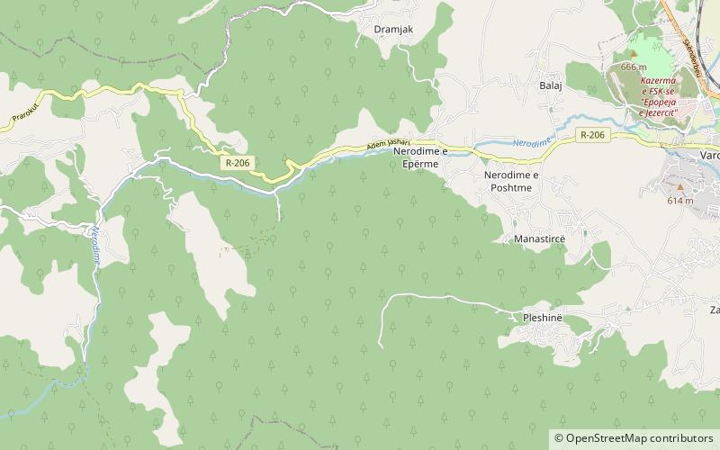 Veliki Petrič location map