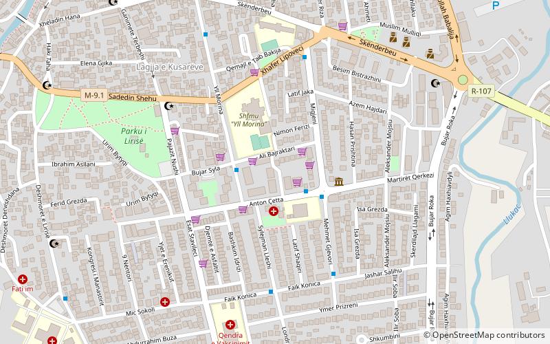 handikos gjakova location map