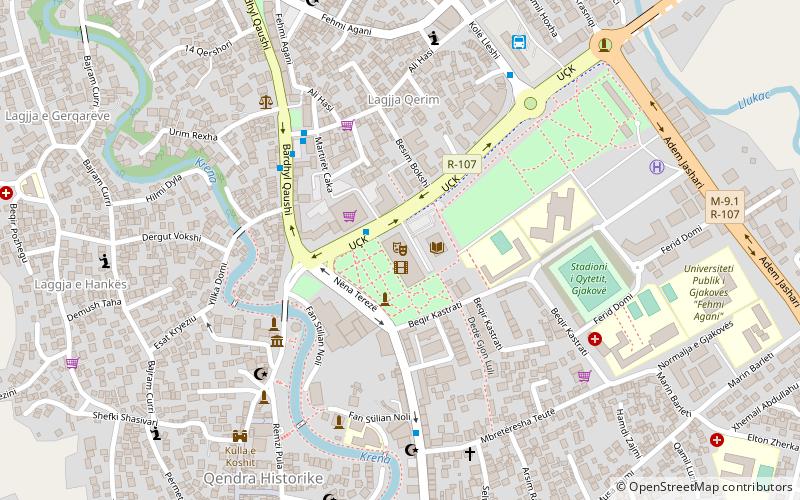 pallati i kultures asim vokshi gjakova location map