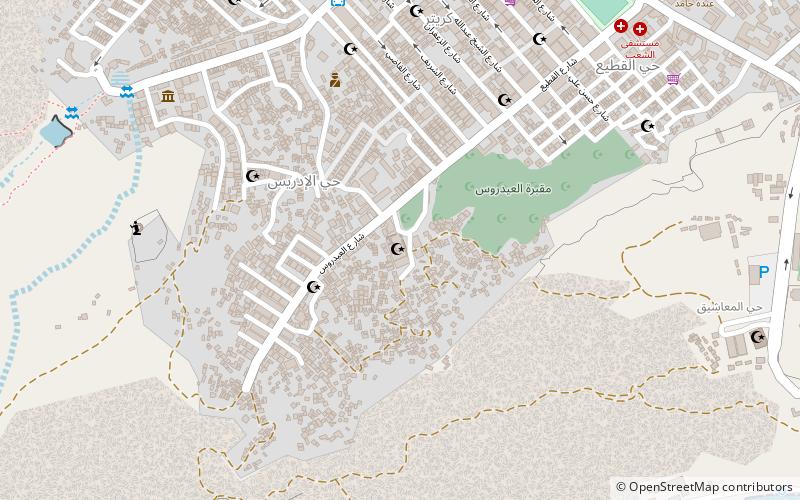 aidrus mosque aden location map