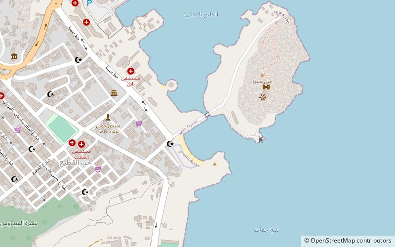 kwrnysh syrh aden location map