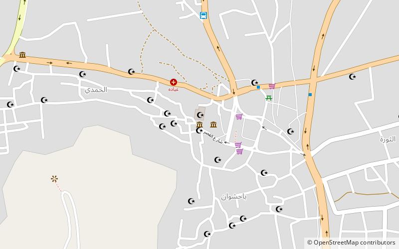 Mthf syywn location map