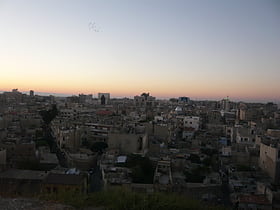 Citadelle de Homs