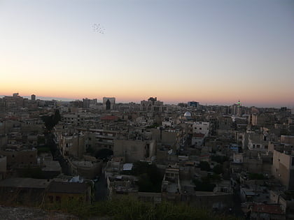 citadel of homs hims