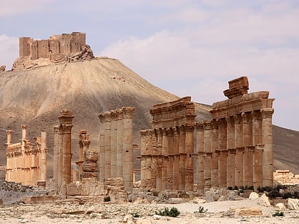 camp of diocletian palmyra