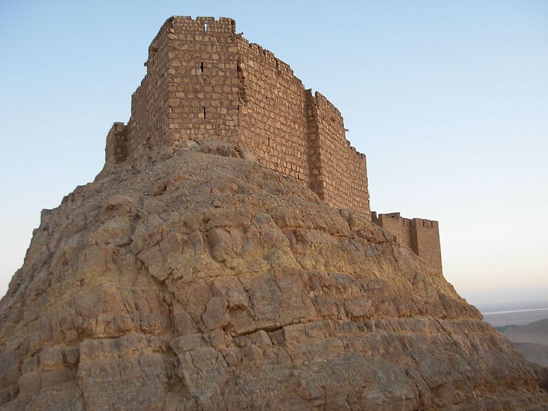 Palmyra Castle