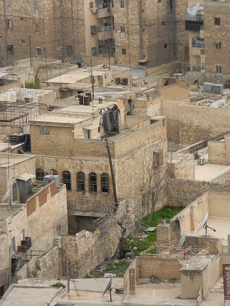 Citadelle d'Alep