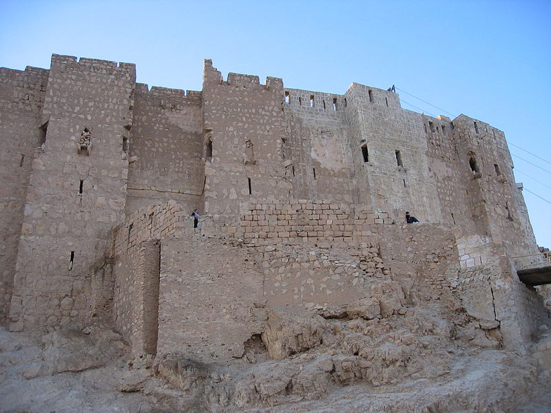 Palmyra Castle