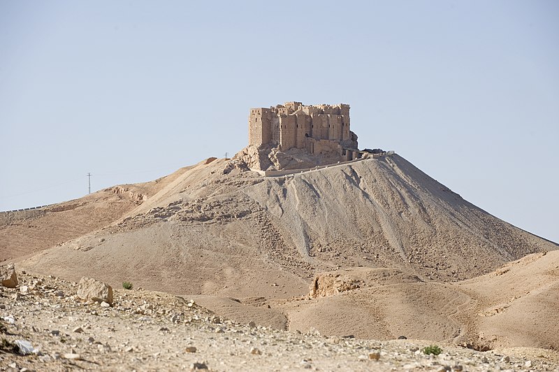 Palmyra Castle