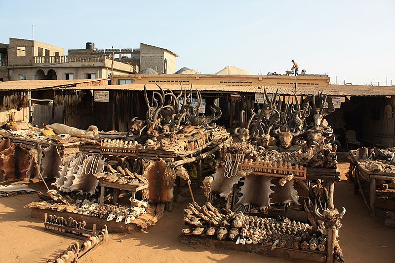 Akodessawa Fetish Market
