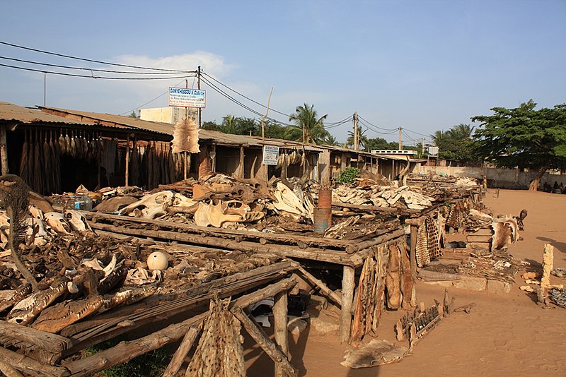 Akodessawa Fetish Market