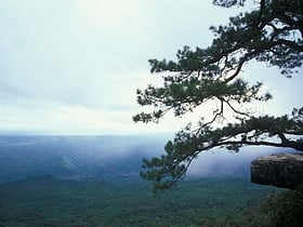 park narodowy phu kradueng