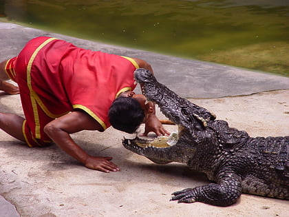 samutprakarn crocodile farm and zoo amphoe mueang samut prakan