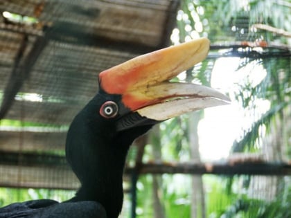 phuket zoo