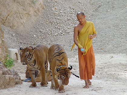 temple des tigres