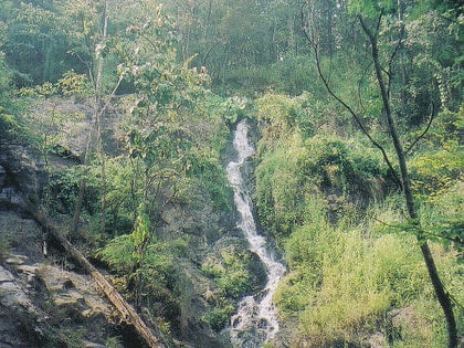 park narodowy khlong wang chao