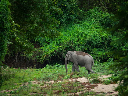 thungyai huai kha khaeng wildlife sanctuaries wildschutzgebiet thung yai naresuan