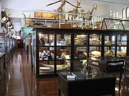 chulalongkorn university museum of natural history bangkok