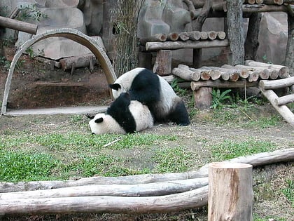 zoo de chiang mai parc national de doi suthep pui