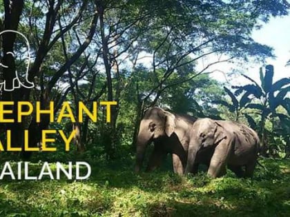 elephant valley thailand chiang rai
