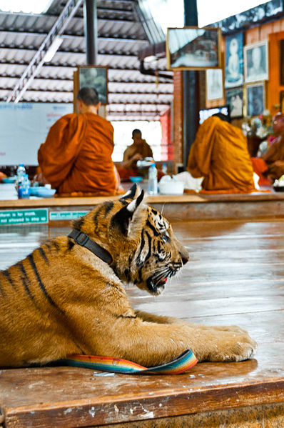 Temple des tigres