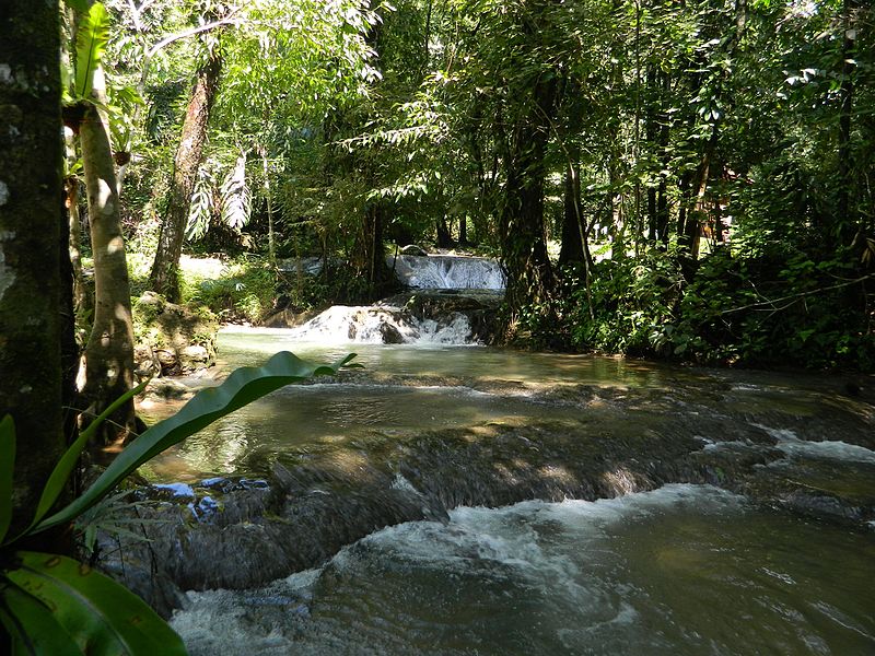 Sa Nang Manora Forest Park