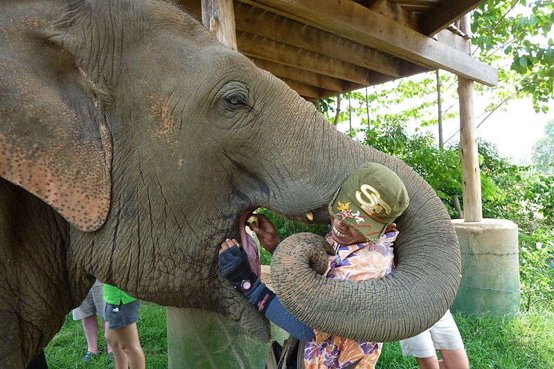 Park Krajobrazowy Elephant