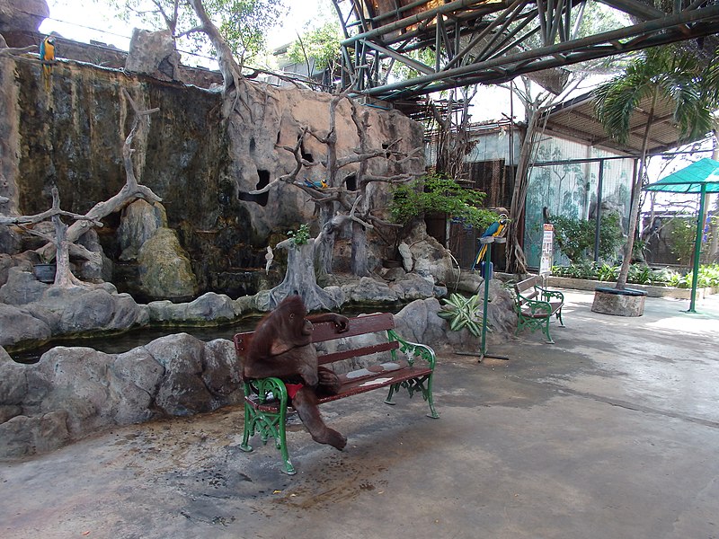 Pata Zoo